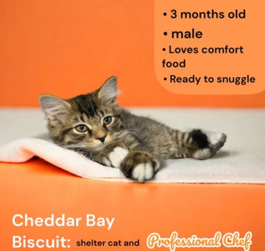 Photo of Cheddar Bay Biscuit