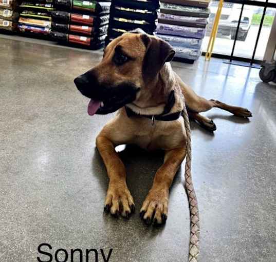 Photo of Sonny