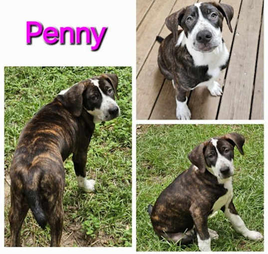 Photo of Penny Lou