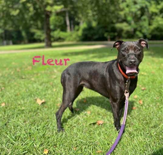 Photo of Fleur