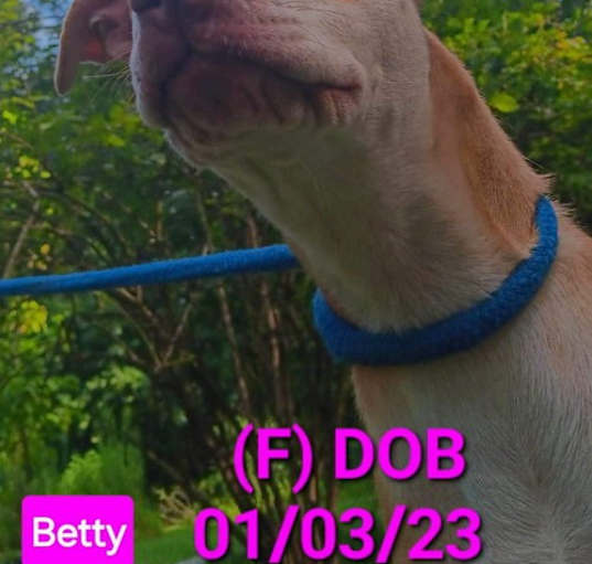 Photo of Betty