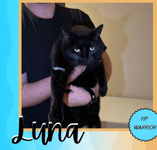 Photo of Luna