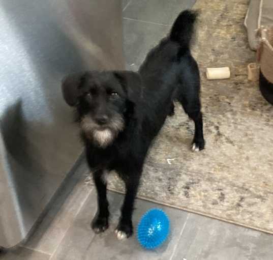Photo of Paco
