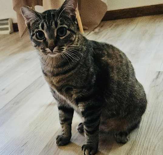 Photo of Duchess