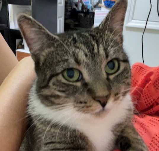 Photo of Lola