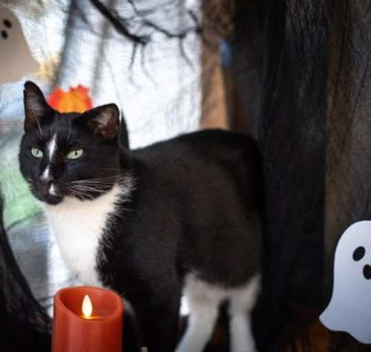 Photo of WONKY