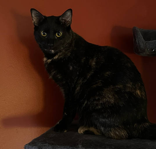 Photo of Sally