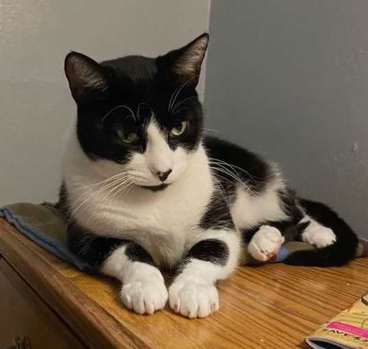 Photo of Rocky