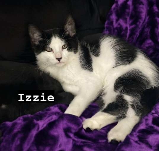 Photo of Izzie