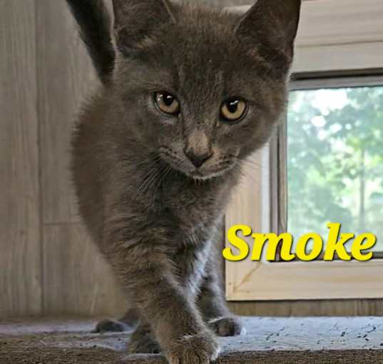 Photo of Smoke