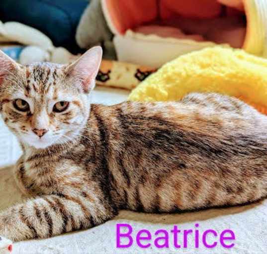 Photo of Beatrice