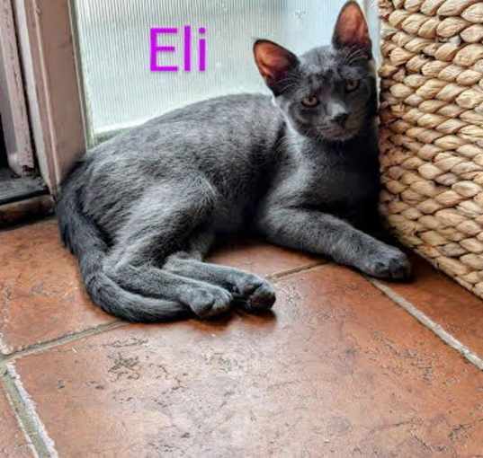 Photo of Eli