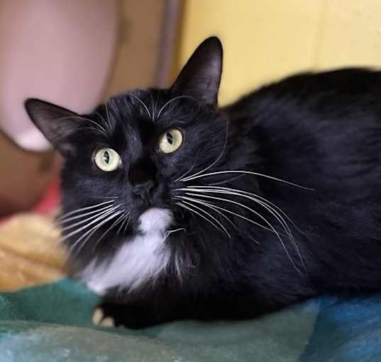 Photo of Cassie