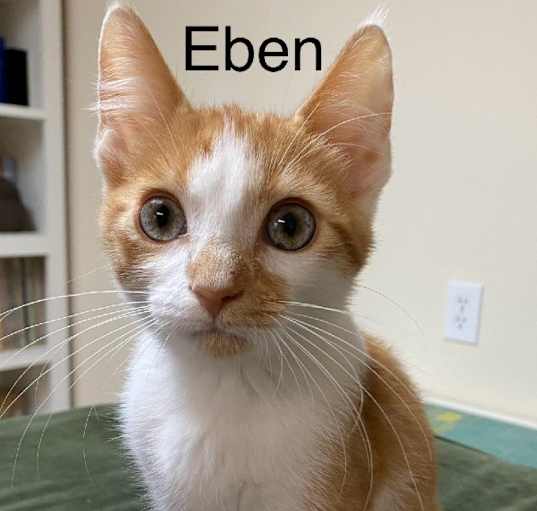 Photo of Eben