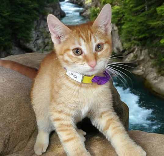 Photo of Lindi