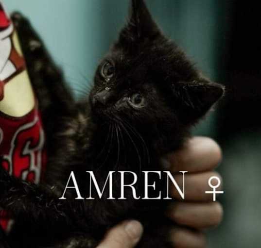 Photo of Amren