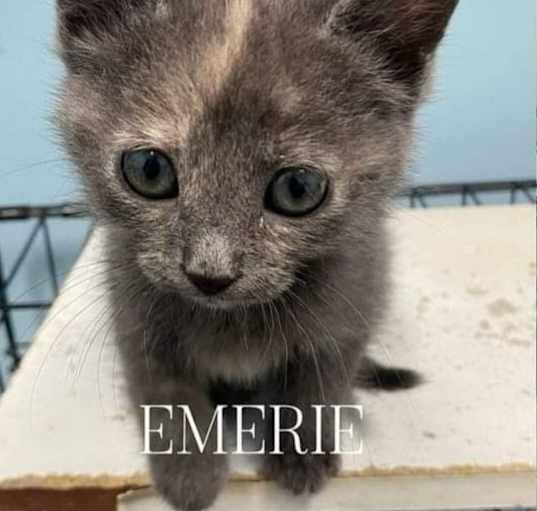 Photo of Emerie