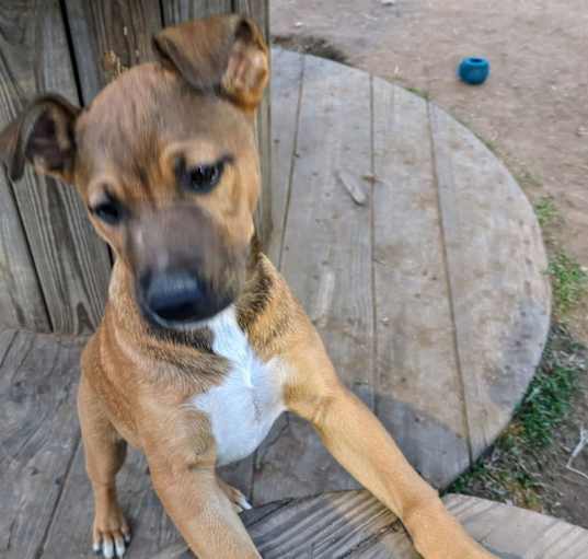 Photo of Bailey Katie