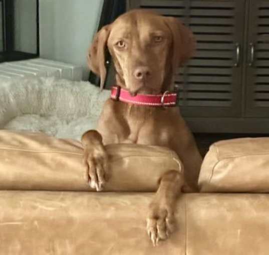 Photo of Vida