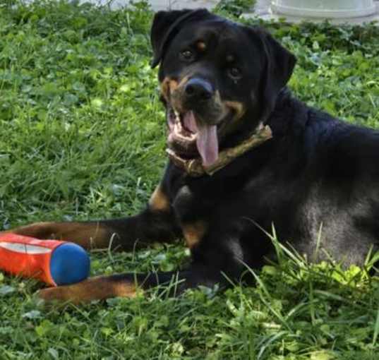 Photo of Lenny
