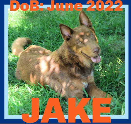 Photo of JAKE