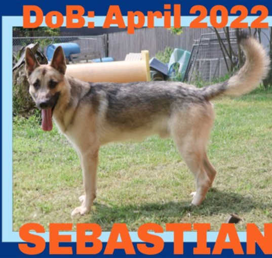 Photo of SEBASTIAN