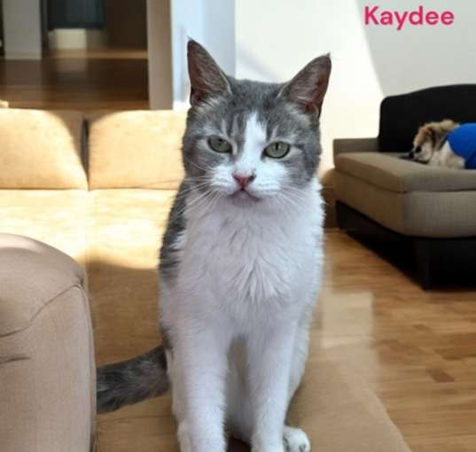 Photo of Kaydee