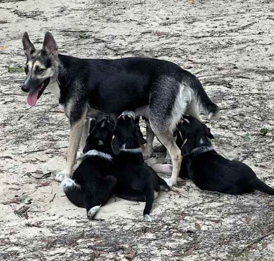 Photo of Stormi (Mom)