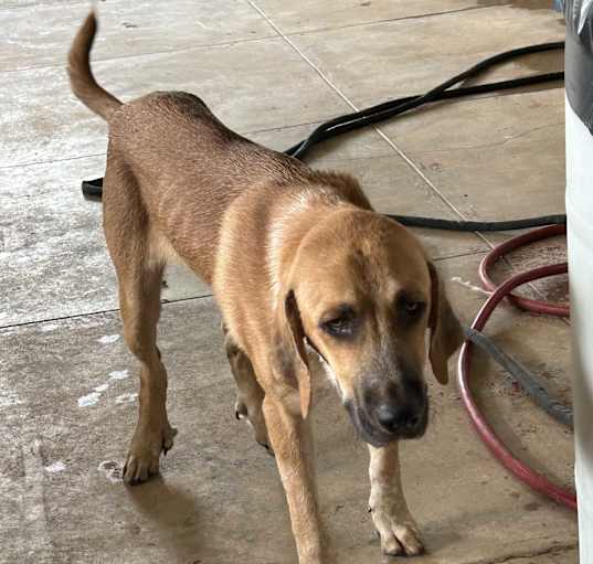 Photo of Murphy