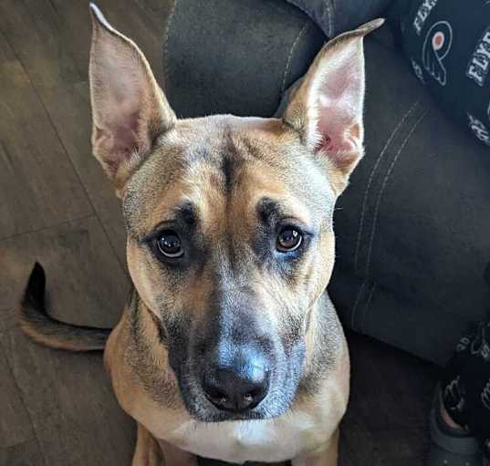 Photo of Winston