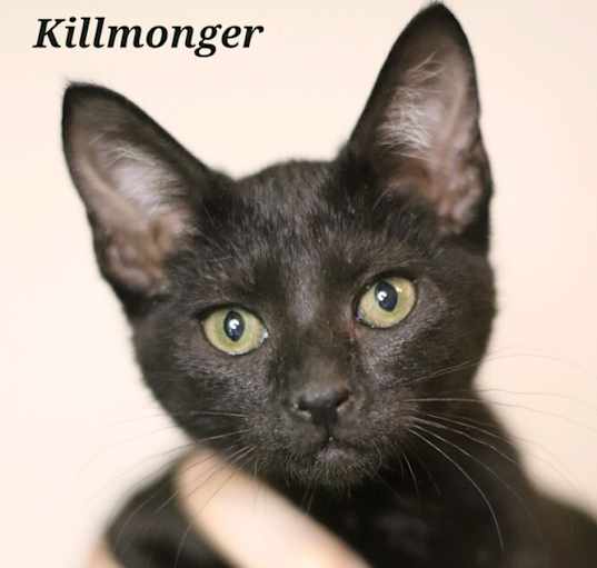 Photo of Killmonger