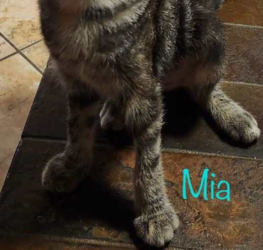 Photo of Mia