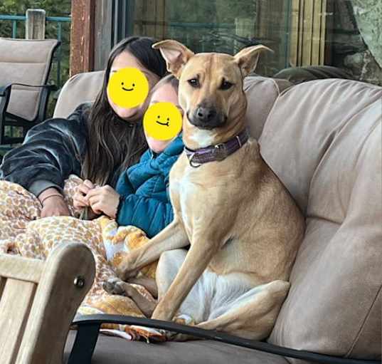 Photo of Lexi Napa Petco
