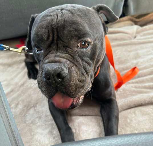 Photo of QUINCY