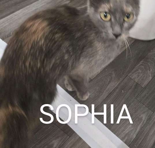 Photo of Sophia