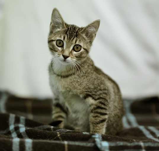 Photo of Jurian