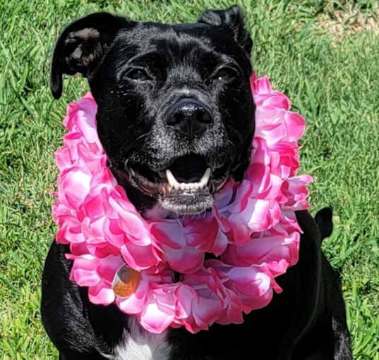 Photo of Zoe