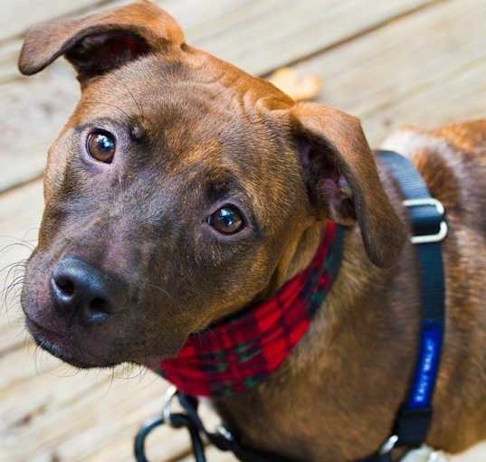 Photo of Athena
