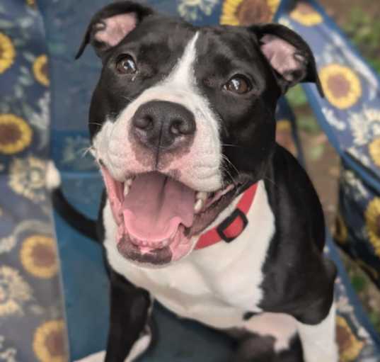 Photo of Lucy