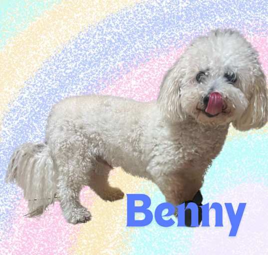 Photo of Benny