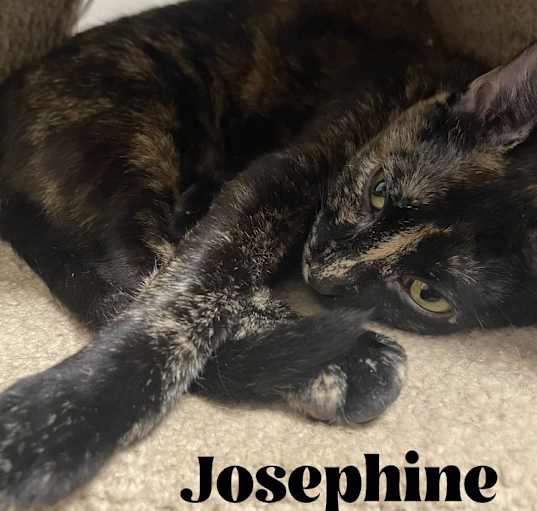 Photo of Josephine