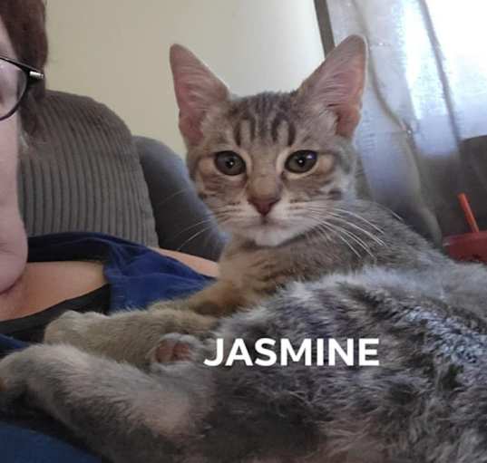 Photo of Jasmine