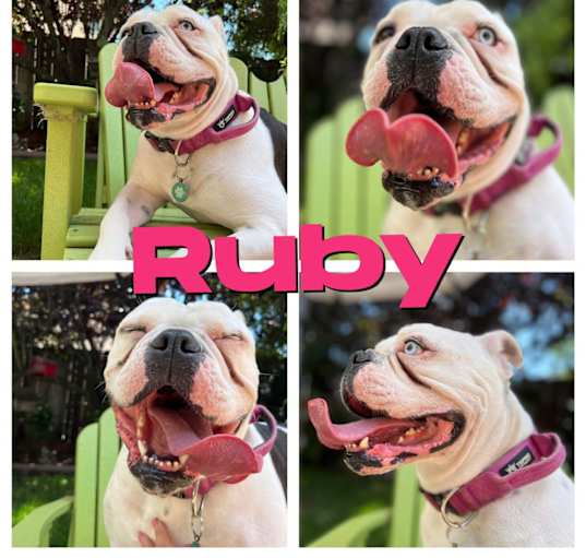 Photo of Ruby