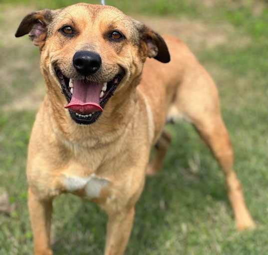 Photo of Katie - With Local Foster Family