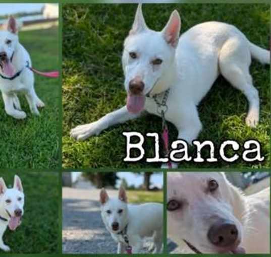 Photo of Blanca