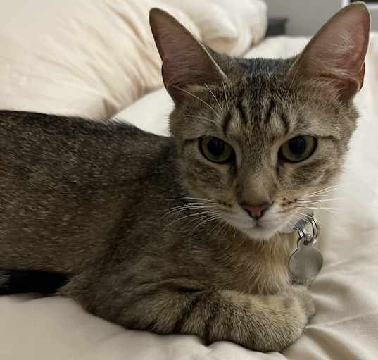 Photo of Mila