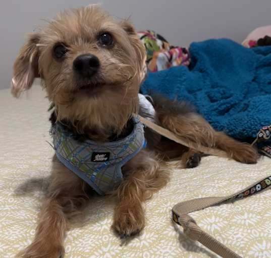 Photo of FRANKIE