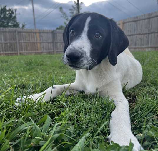 Photo of Pretty Boys : Polka