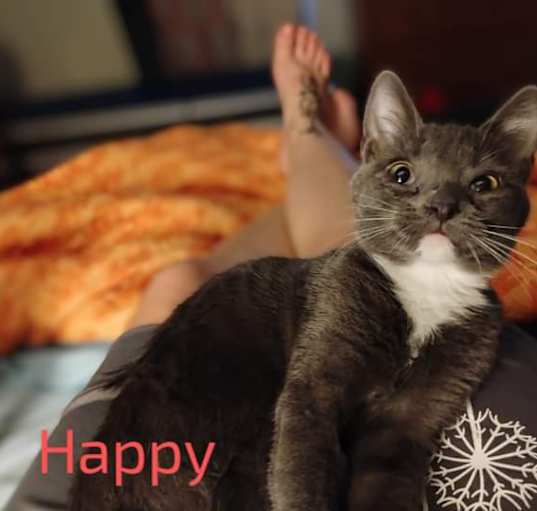 Photo of Happy