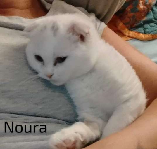 Photo of Noura